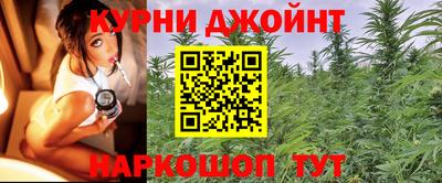 мяу мяу мука Малгобек