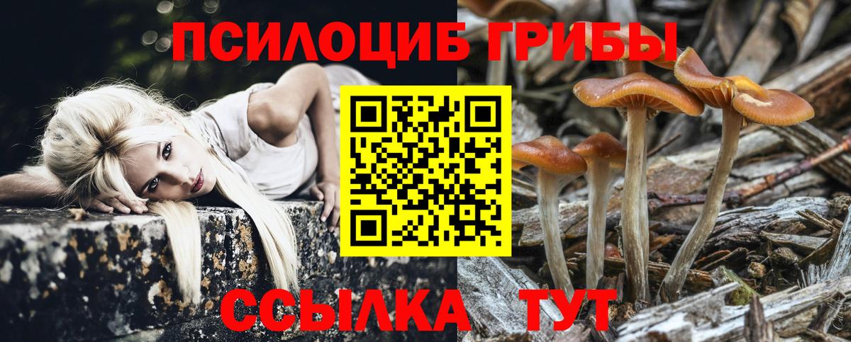 Великий Новгород  Псилоцибиновые грибы MAGIC MUSHROOMS  Вход с VPN 
